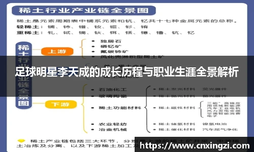 足球明星李天成的成长历程与职业生涯全景解析